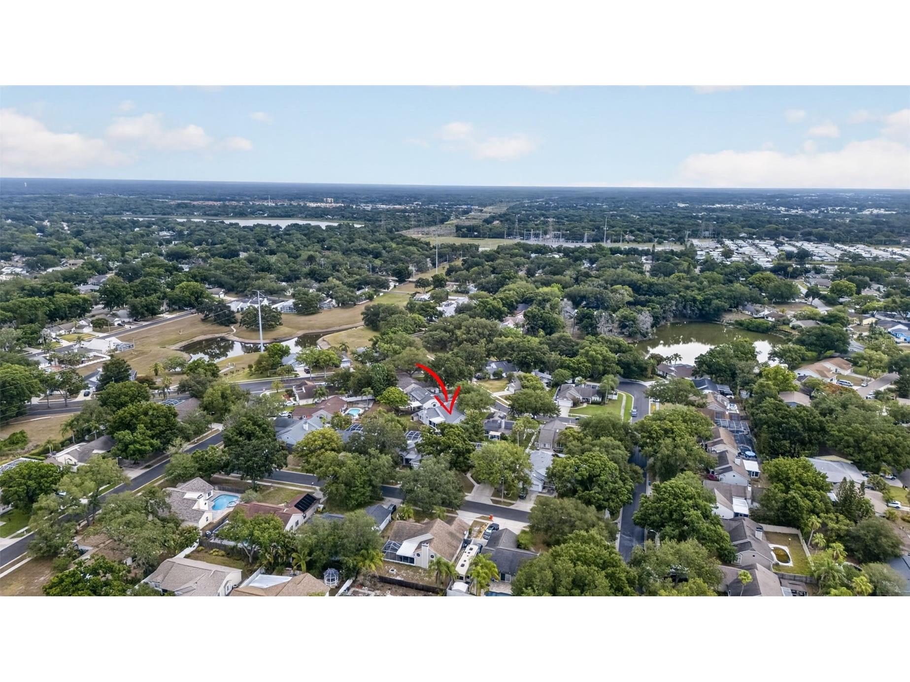 962 Edgehill Drive Palm Harbor FL 34684 TB8507849 image45