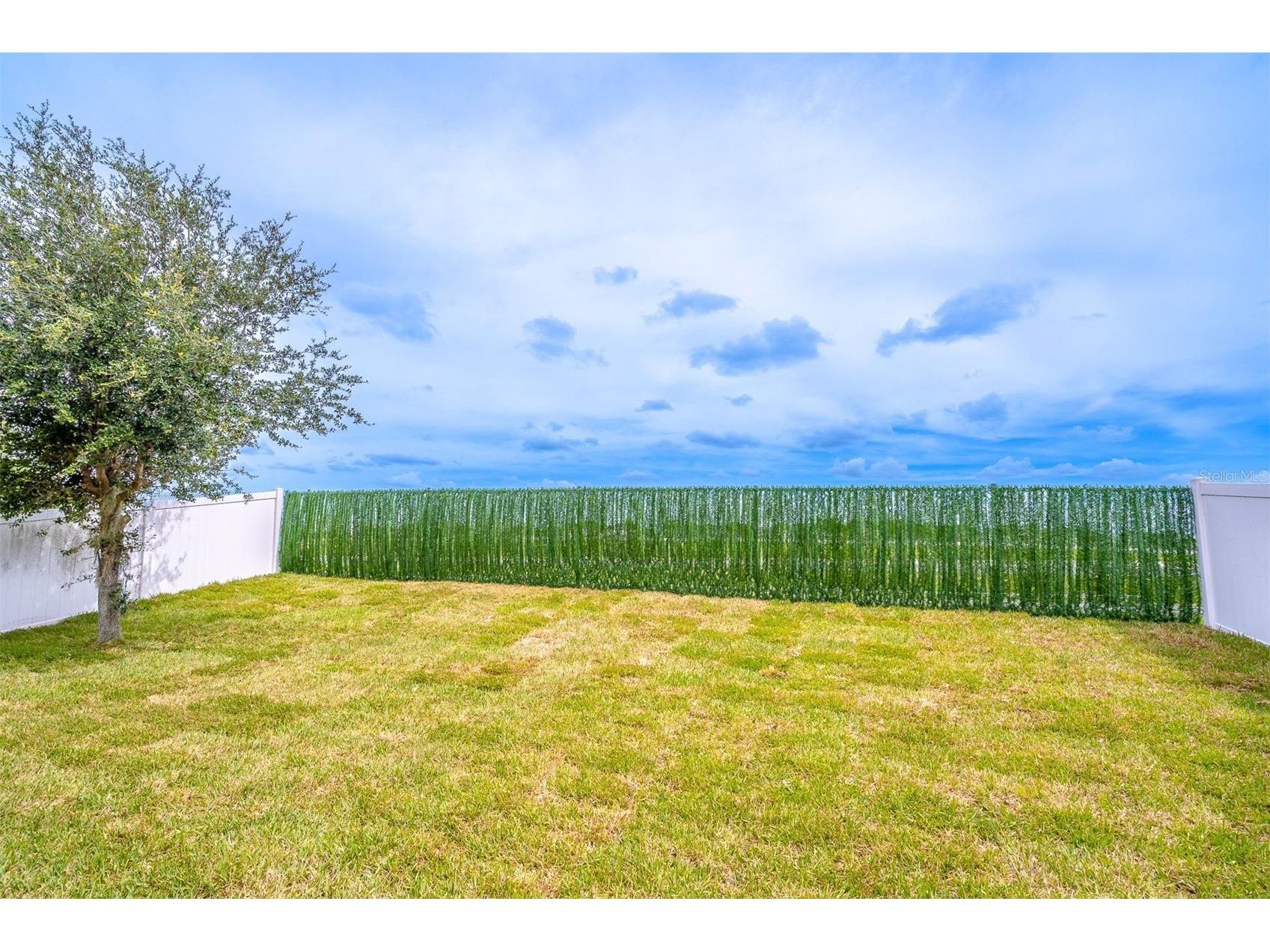 962 Grand Hilltop Drive Apopka FL 32703 O6414169 image41