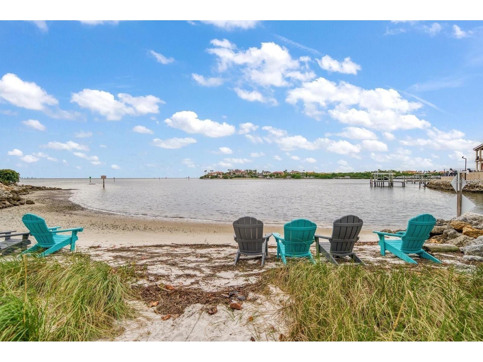 962 Symphony Isles Boulevard Apollo Beach FL 33572 OM722629 image12