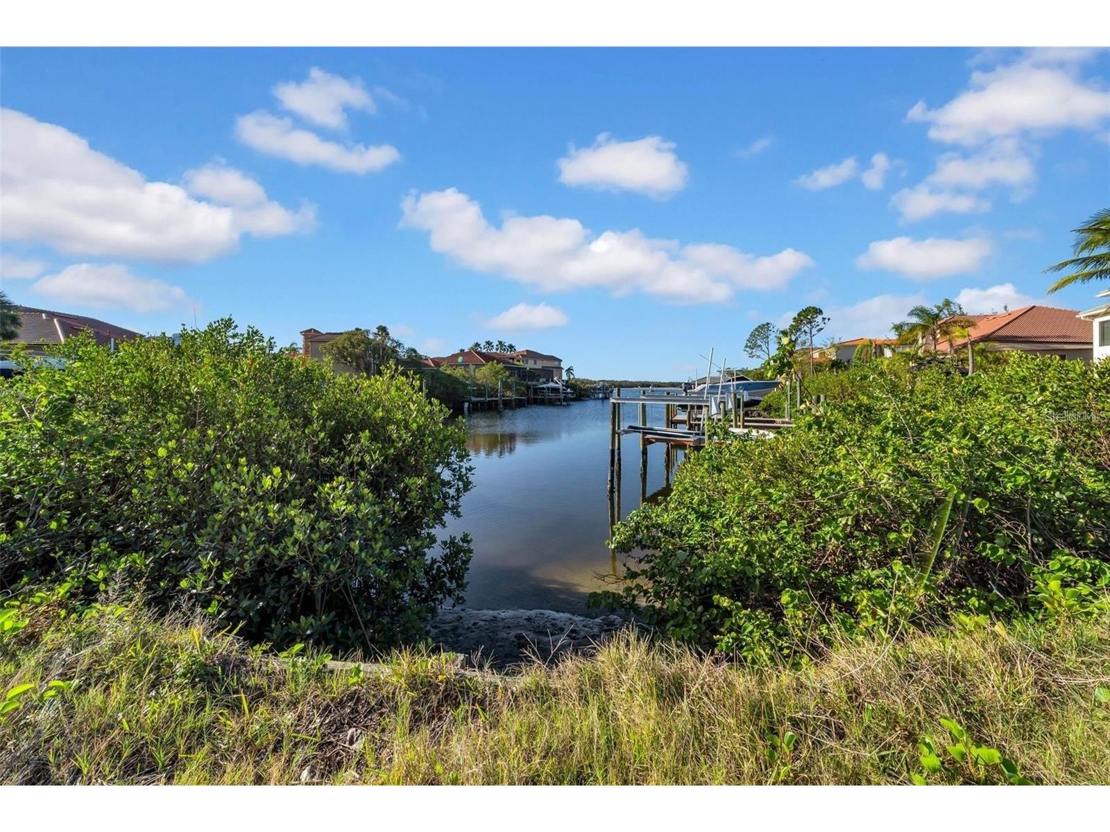 962 Symphony Isles Boulevard Apollo Beach FL 33572 OM722629 image4
