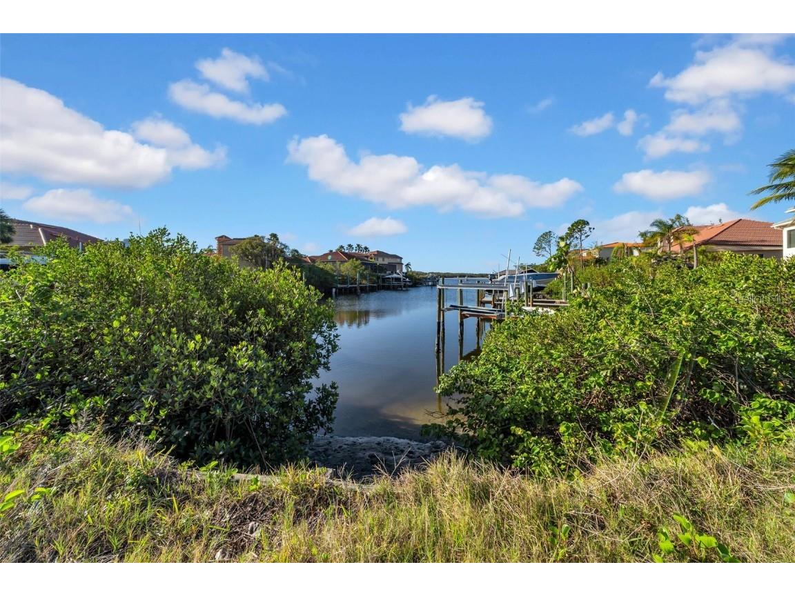 962 Symphony Isles Boulevard Apollo Beach FL 33572 TB8331195 image20