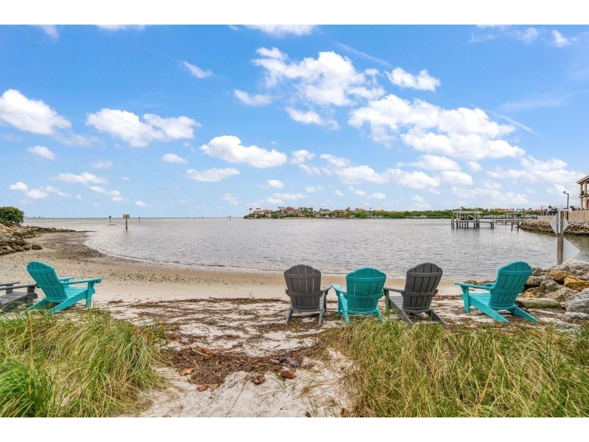 962 Symphony Isles Boulevard Apollo Beach FL 33572 TB8331195 image23