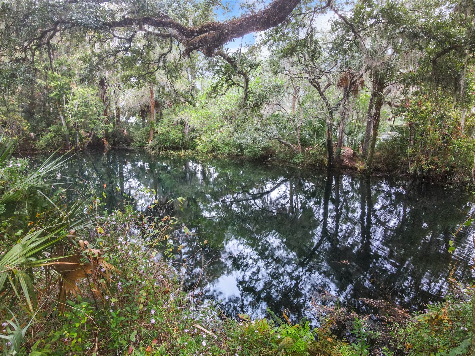 9620 SW 194th Circle Dunnellon FL 34432 - RAINBOW RIVER OM721173 image48