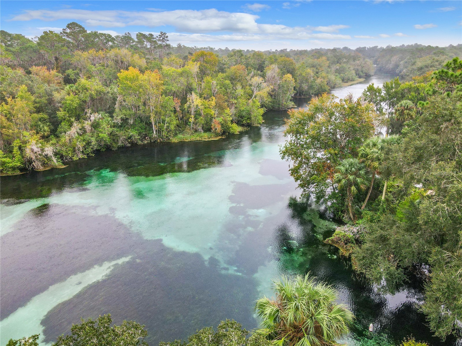 9620 SW 194th Circle Dunnellon FL 34432 - RAINBOW RIVER OM721173 image52
