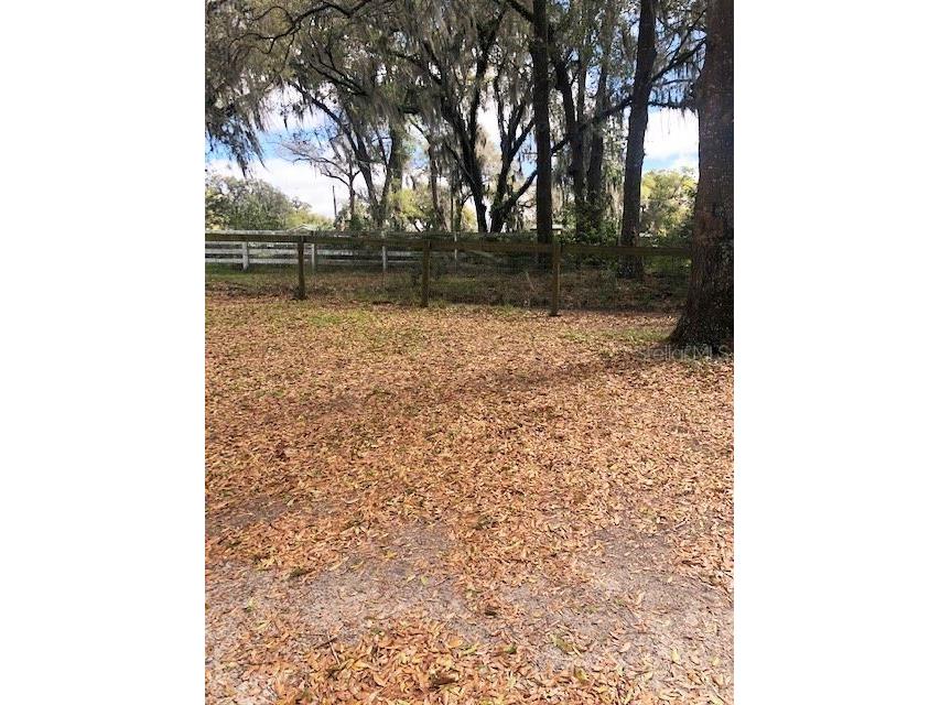 9620 SW 24th Avenue Ocala FL 34476 OM718630 image14