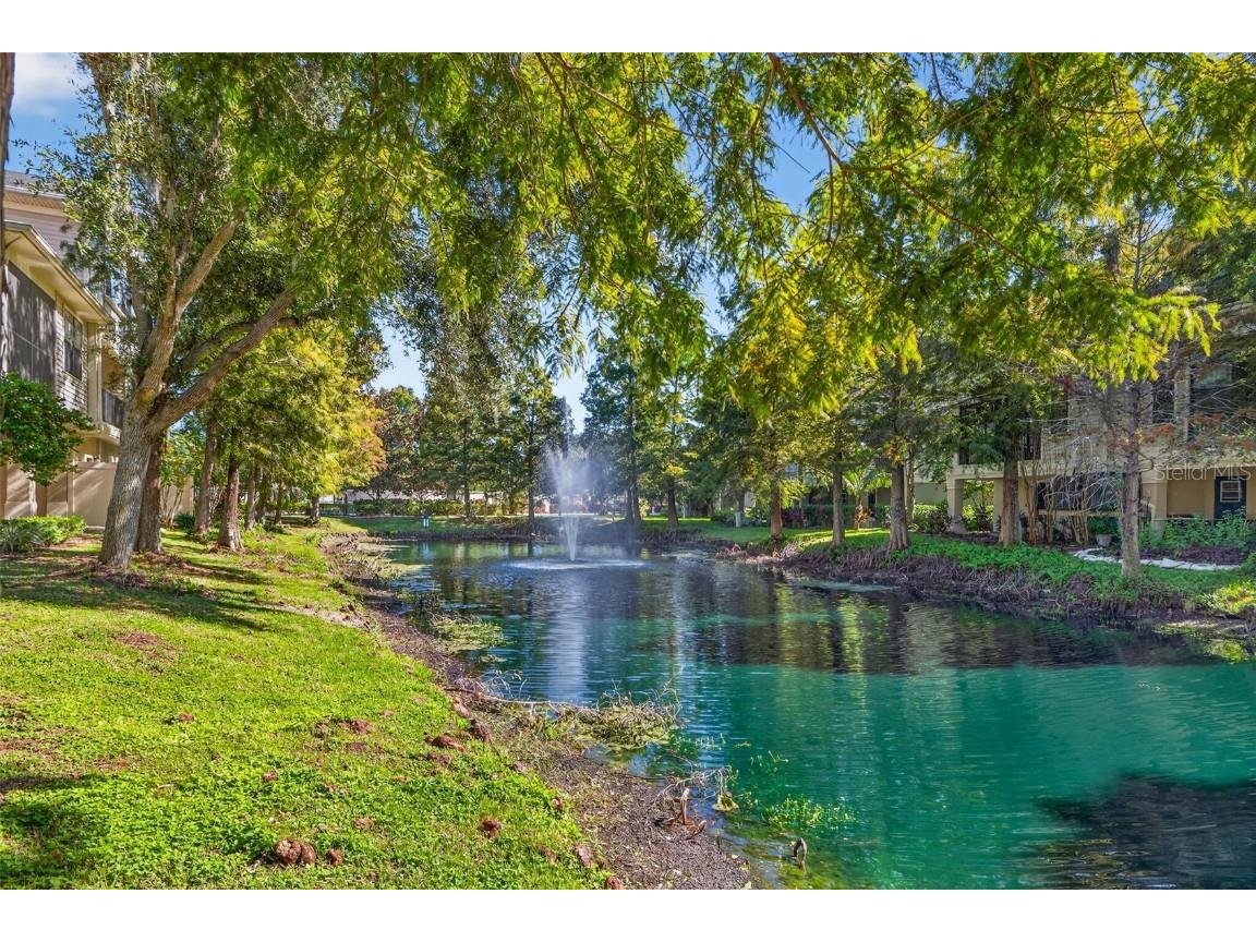 9622 Bay Grove Lane Tampa FL 33615 TB8440485 image34