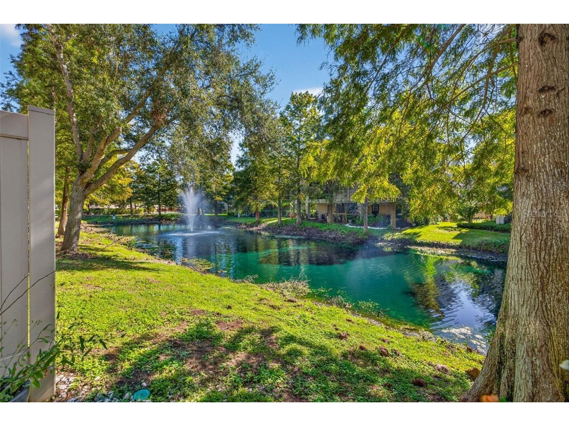 9622 Bay Grove Lane Tampa FL 33615 TB8440485 image35