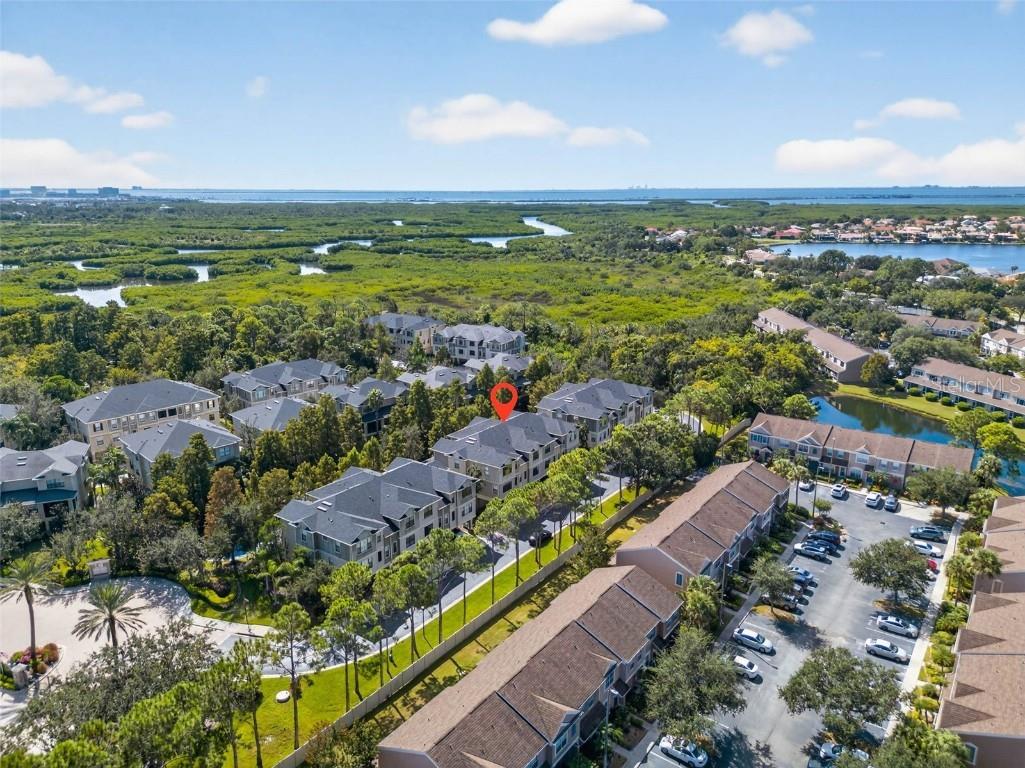9622 Bay Grove Lane Tampa FL 33615 TB8440485 image38