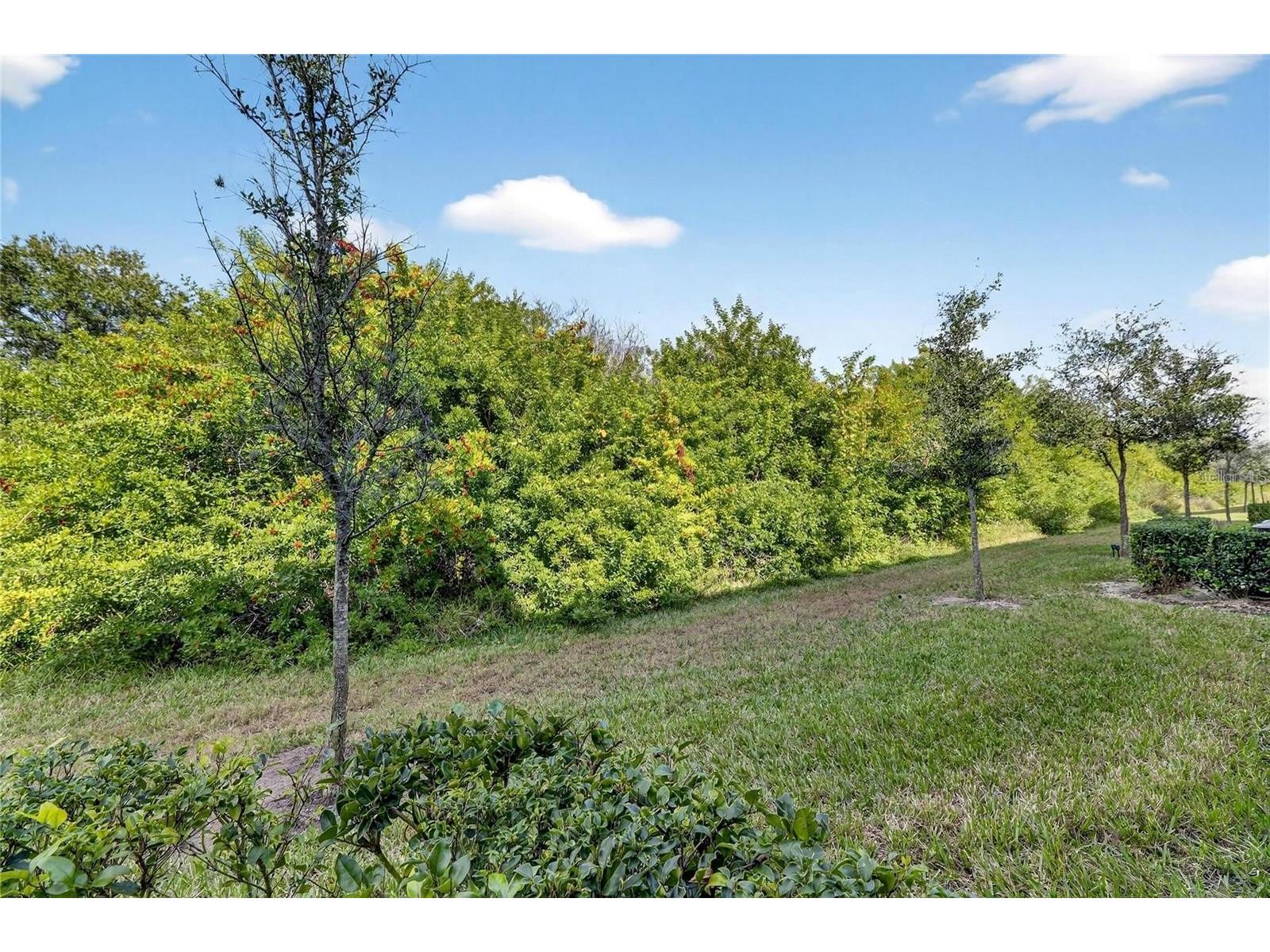 9622 Pembrooke Pines Drive Sun City Center FL 33573 A4696455 image30