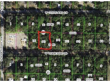 9623 W Tennessee Crystal River FL 34428 OM669289 image1