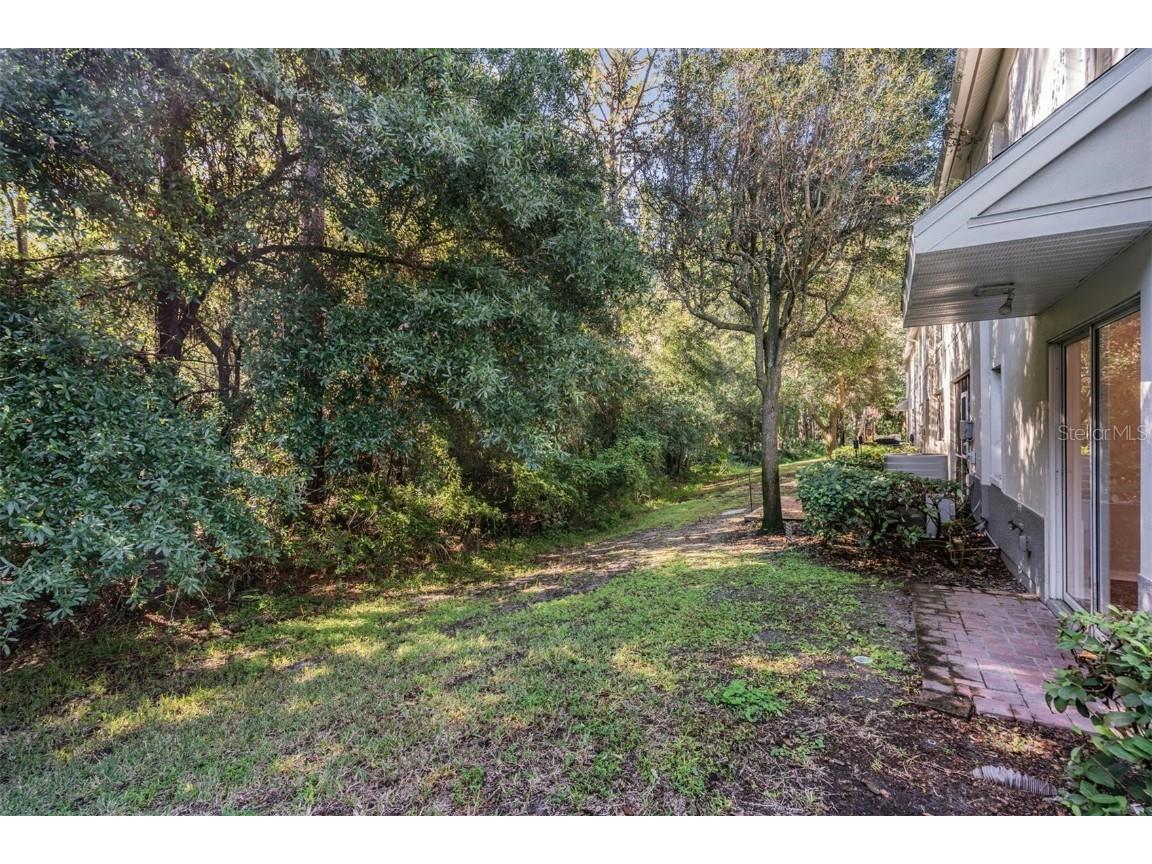 9624 Charlesberg Drive Tampa FL 33635 TB8432957 image26