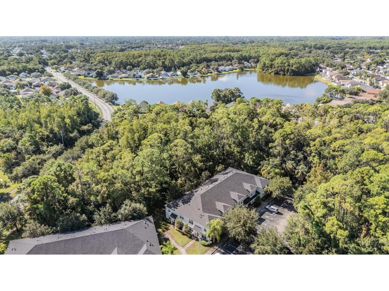 9624 Charlesberg Drive Tampa FL 33635 TB8432957 image5