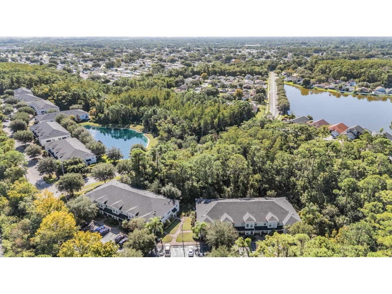 9624 Charlesberg Drive Tampa FL 33635 TB8432957 image6