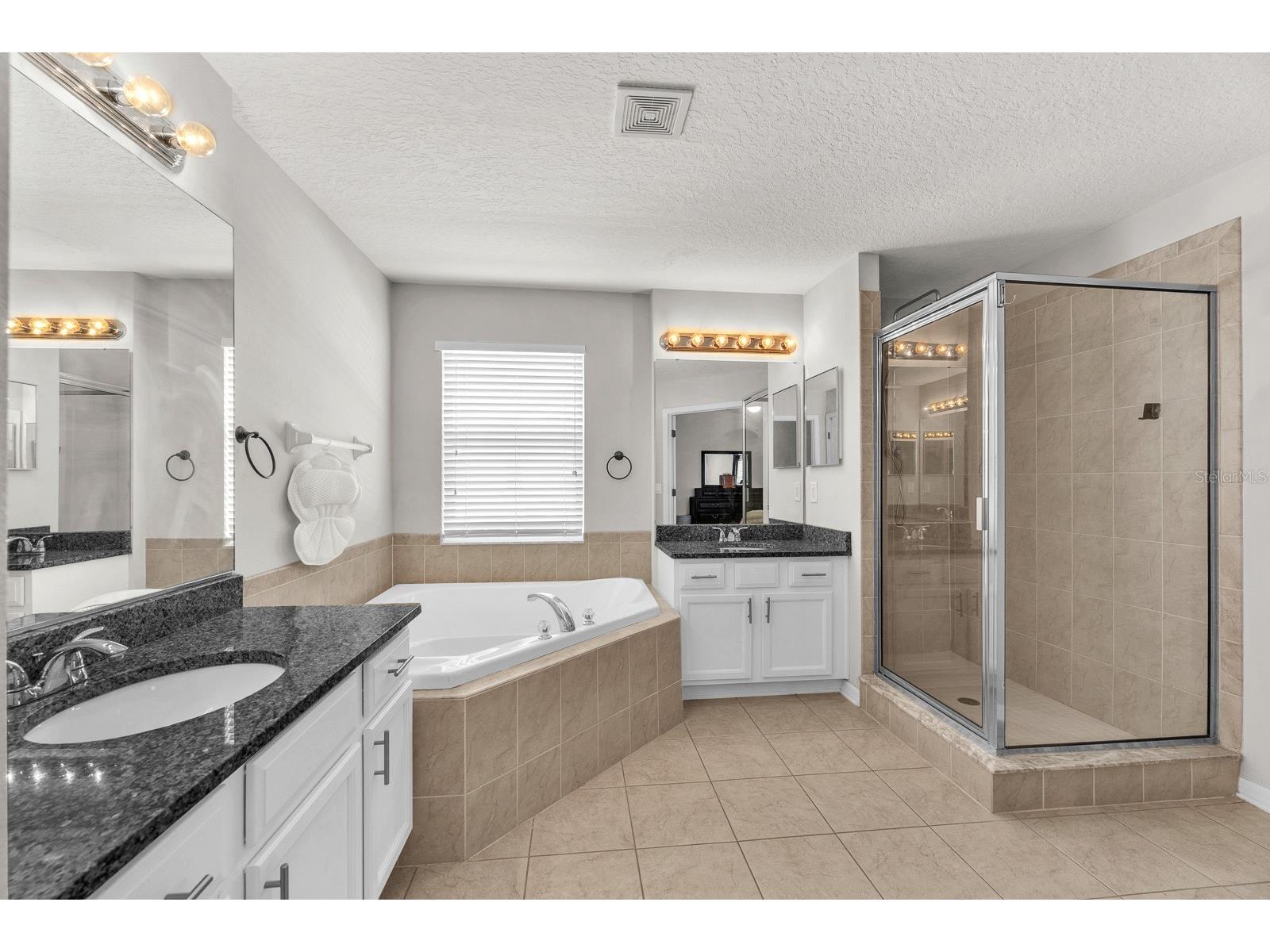9625 Baton Rouge Lane Land O Lakes FL 34638 TB8505696 image13