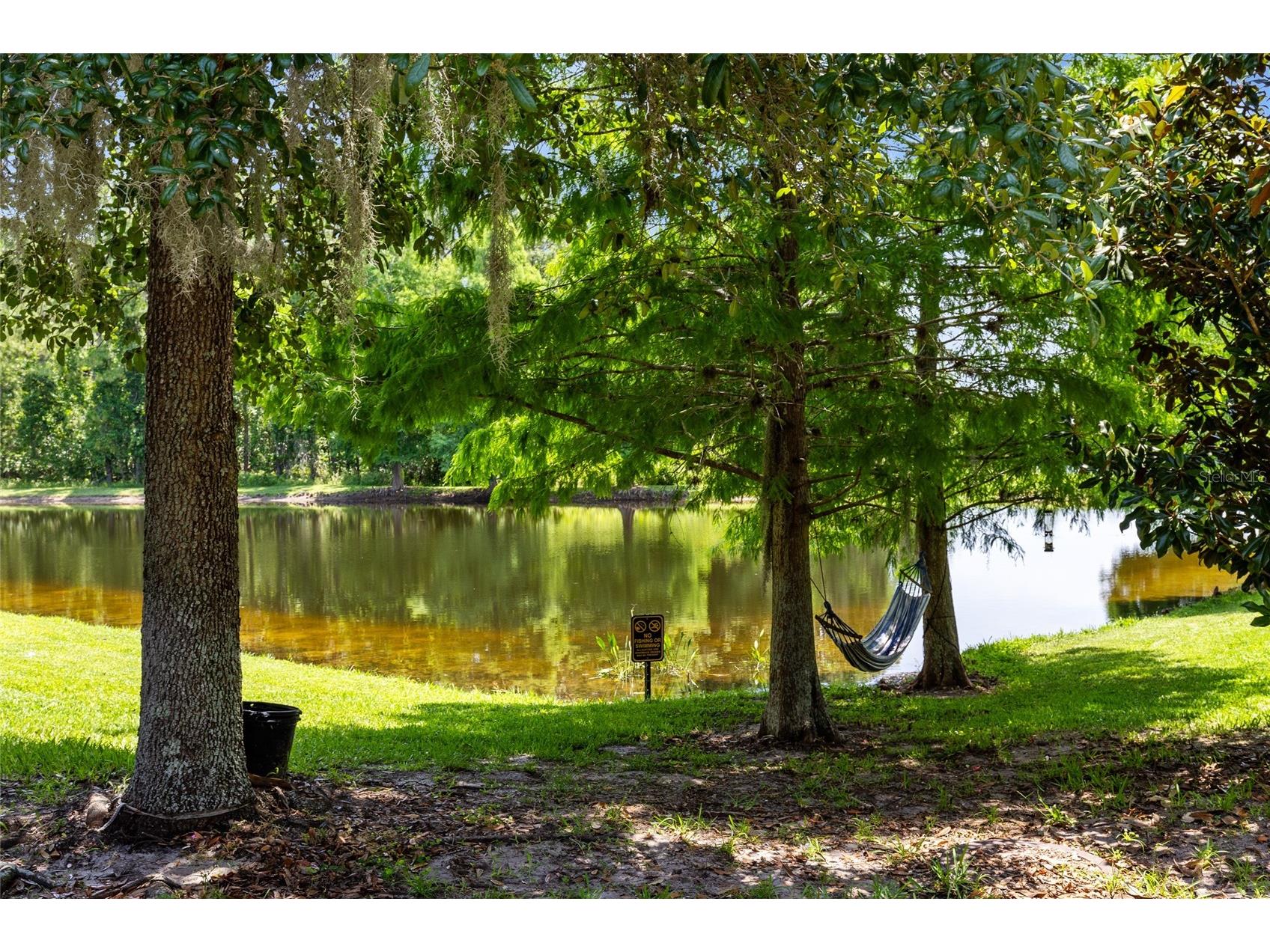 9625 Silver Buttonwood Street Orlando FL 32832 O6420812 image24