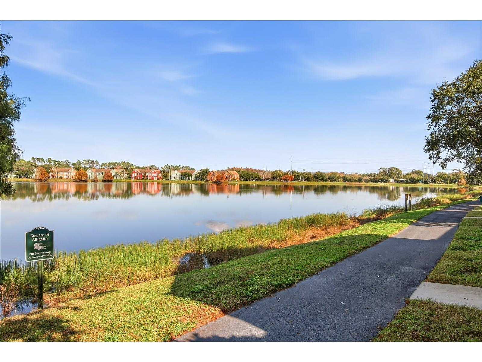 9628 Lake Chase Island Way Tampa FL 33626 TB8459316 image23