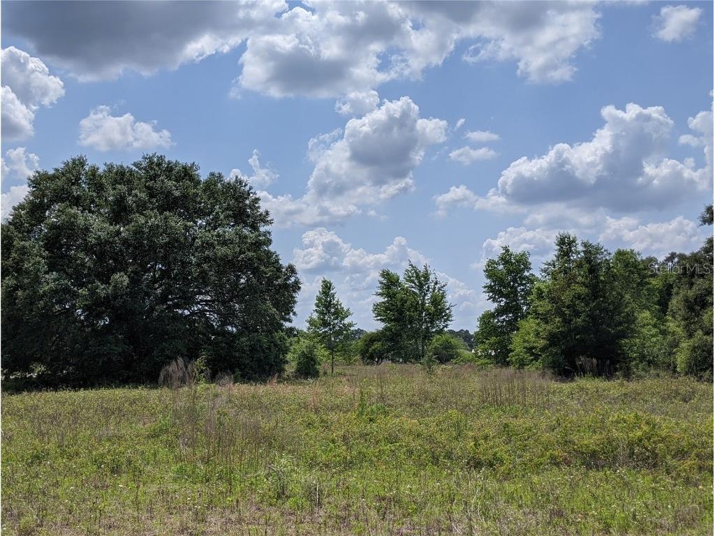 9628 SW 103rd Drive Gainesville FL 32608 GC504849 image1