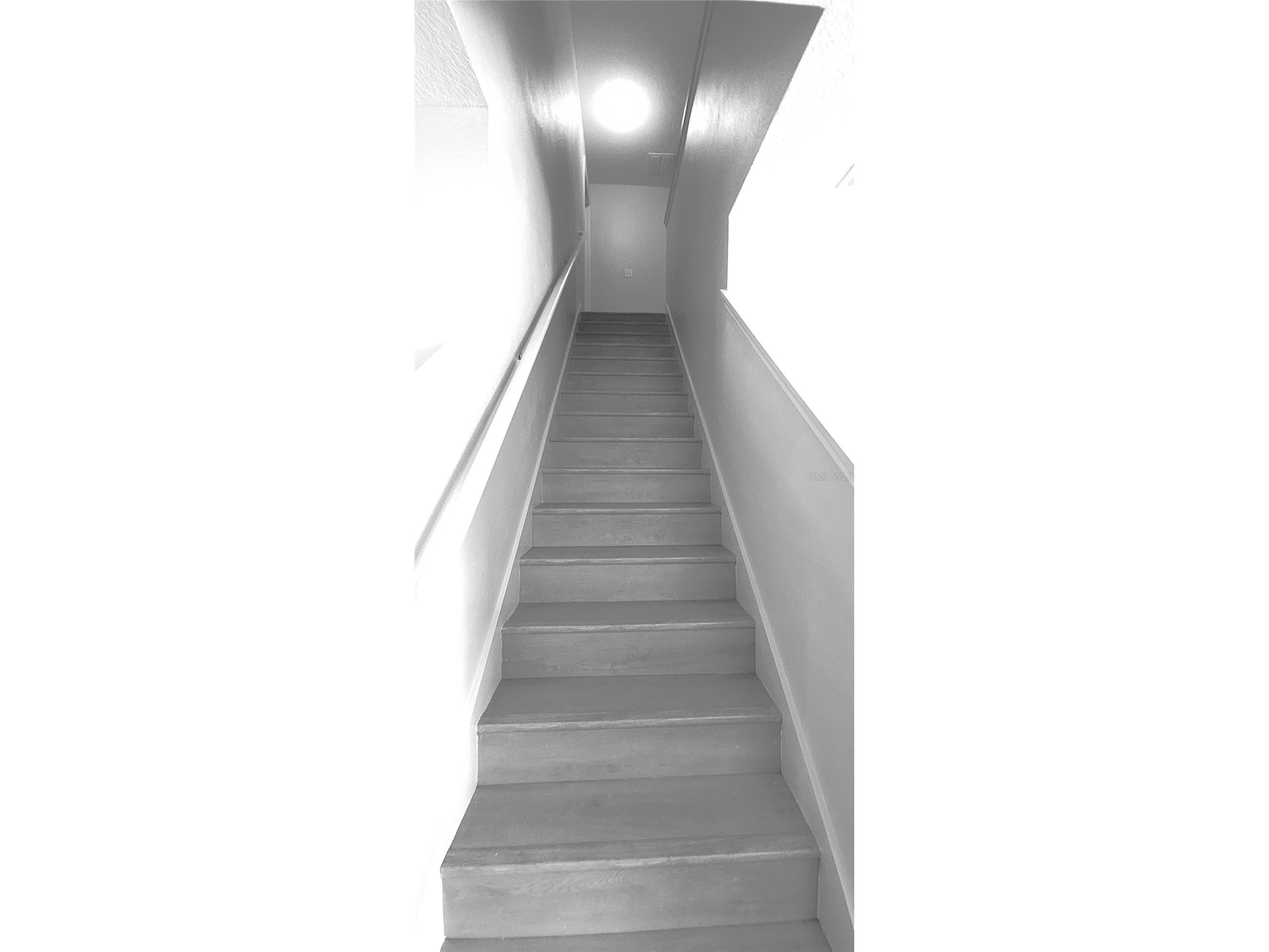 9628 Troncais Circle Thonotosassa FL 33592 TB8508249 image19