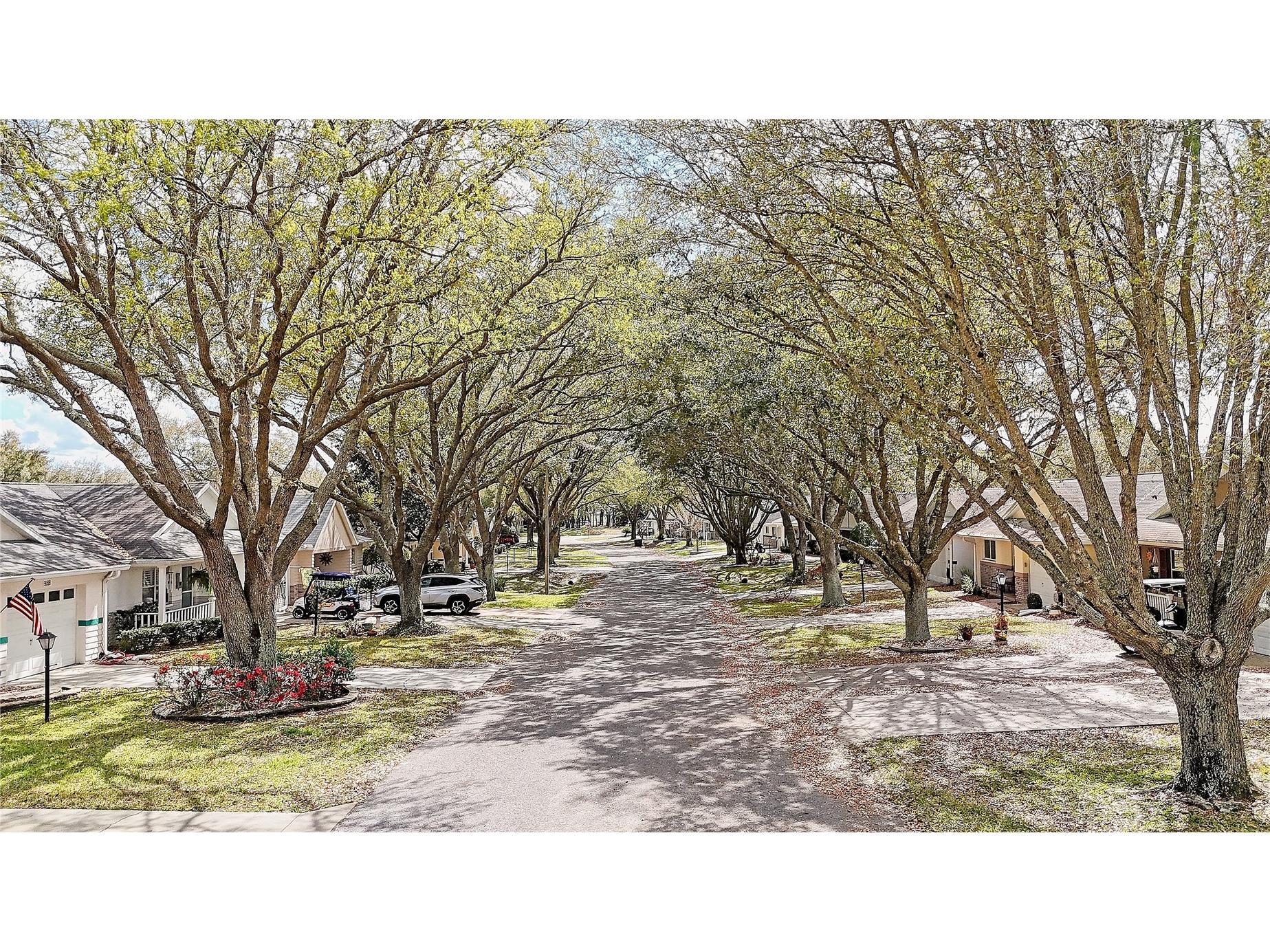 9629 SW 95th Terrace #D Ocala FL 34481 G5109436 image4