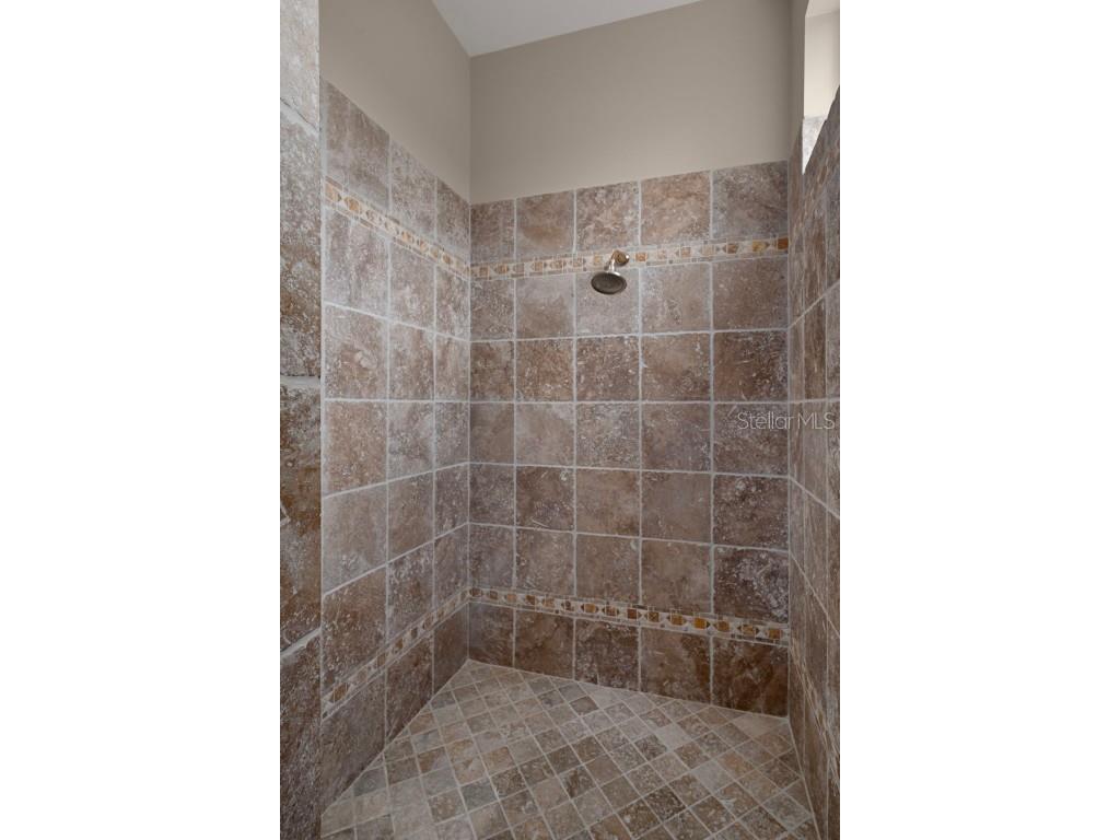 963 Cypress Cove Way Tarpon Springs FL 34688 TB8427961 image42