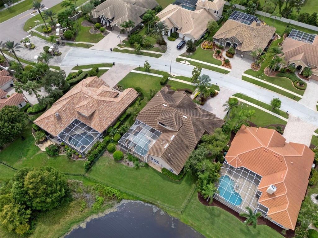 963 Cypress Cove Way Tarpon Springs FL 34688 TB8427961 image95