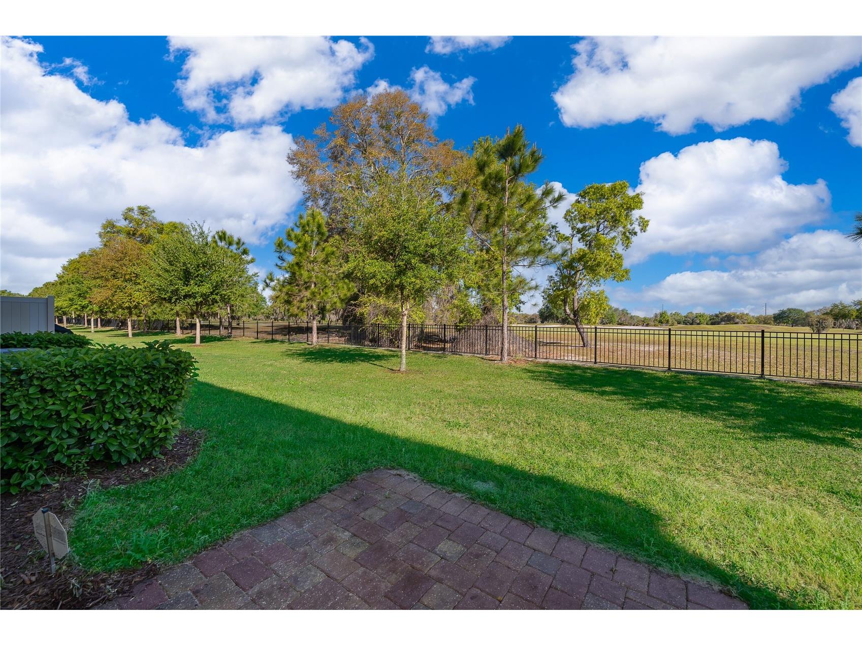 963 Robin Holly Street Ocoee FL 34761 O6394189 image22