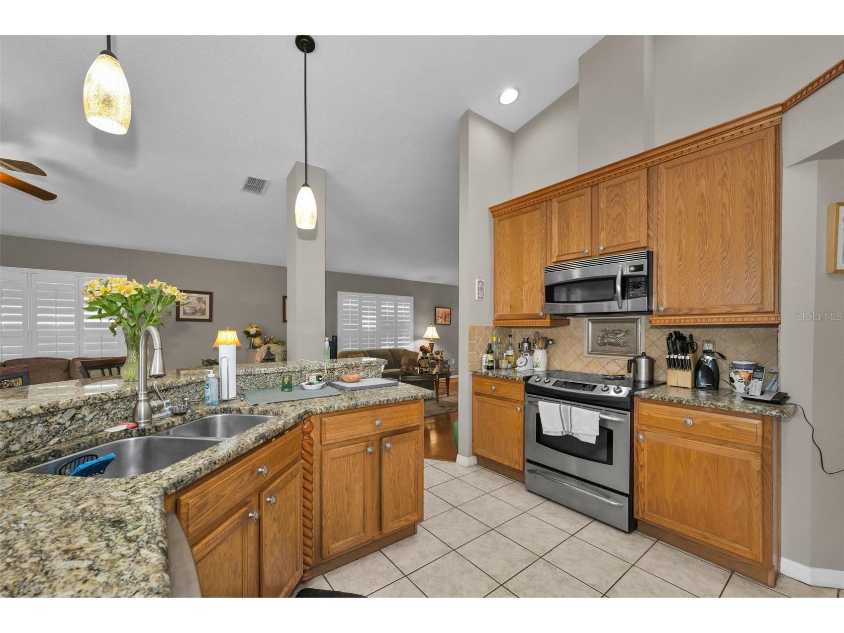 9630 Green Needle Drive New Port Richey FL 34655 W7882126 image19