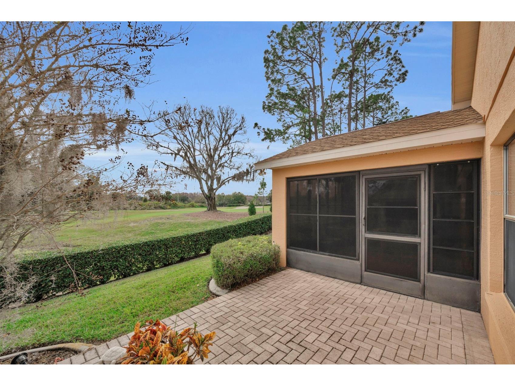 9630 Green Needle Drive New Port Richey FL 34655 W7882126 image38