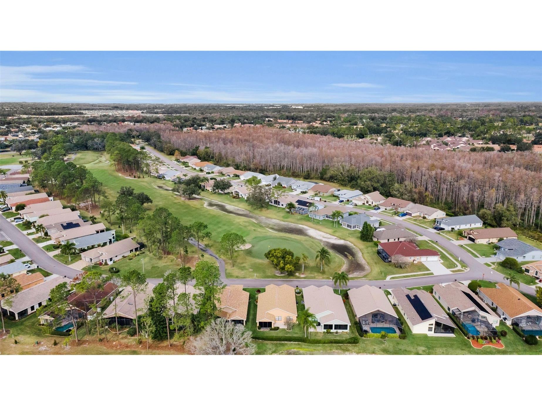 9630 Green Needle Drive New Port Richey FL 34655 W7882126 image43
