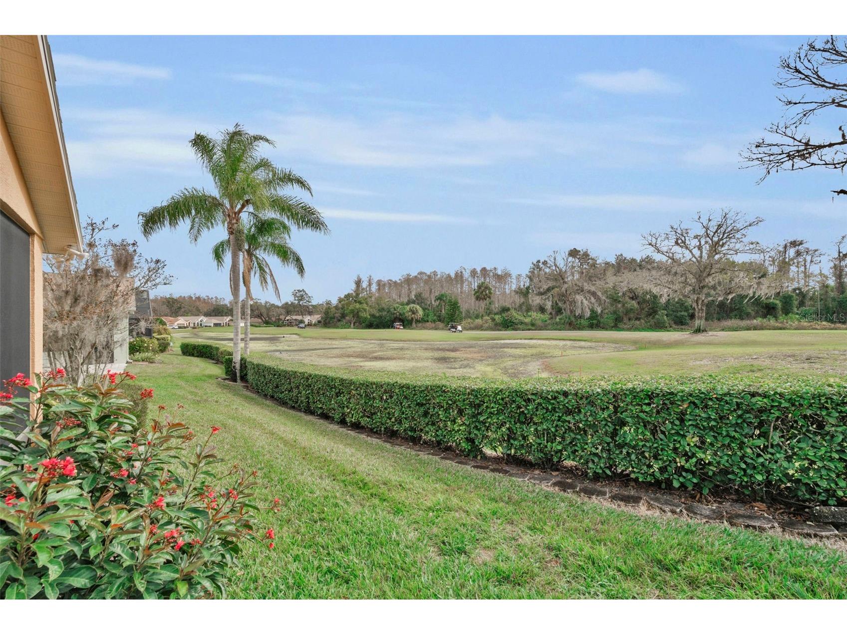 9630 Green Needle Drive New Port Richey FL 34655 W7882126 image44