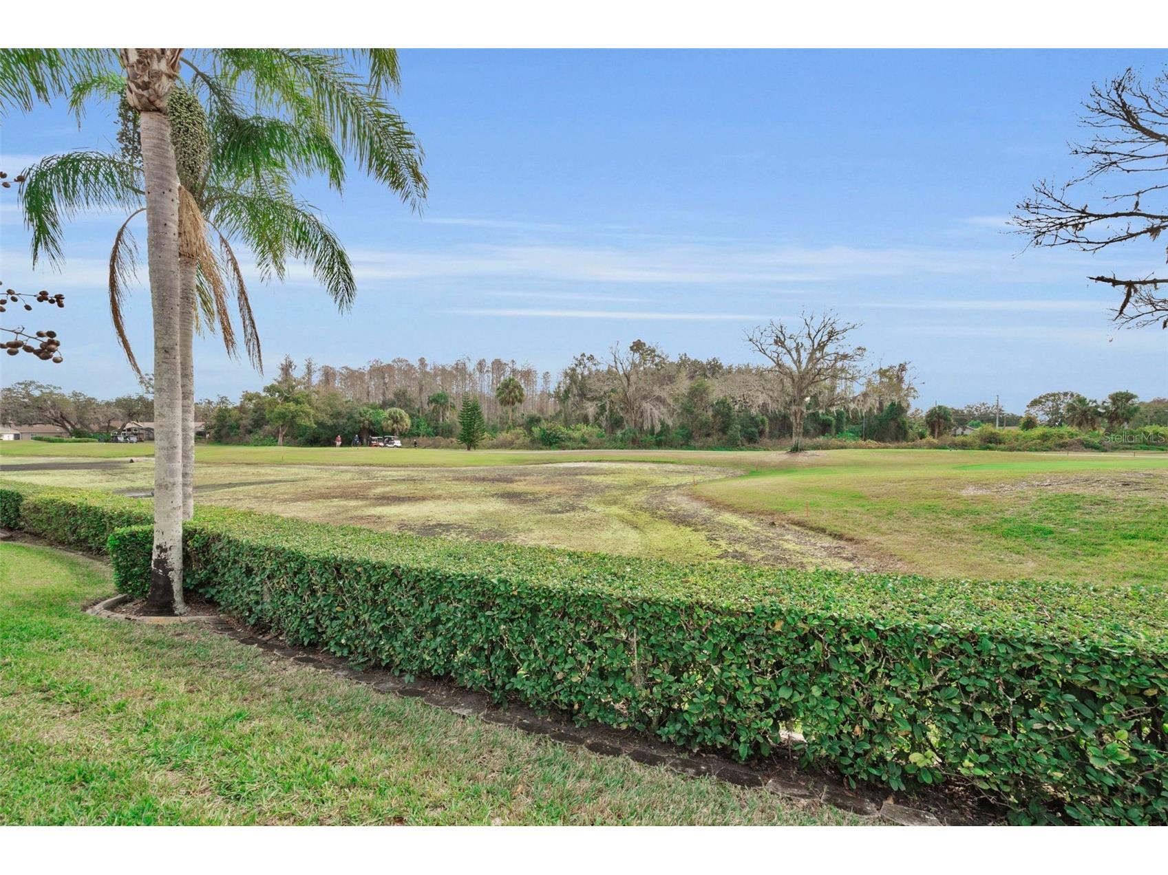 9630 Green Needle Drive New Port Richey FL 34655 W7882126 image46