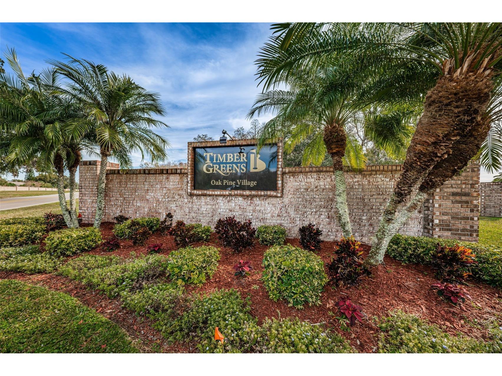 9630 Green Needle Drive New Port Richey FL 34655 W7882126 image49