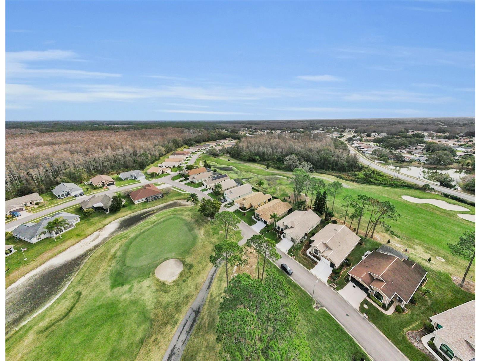 9630 Green Needle Drive New Port Richey FL 34655 W7882126 image5