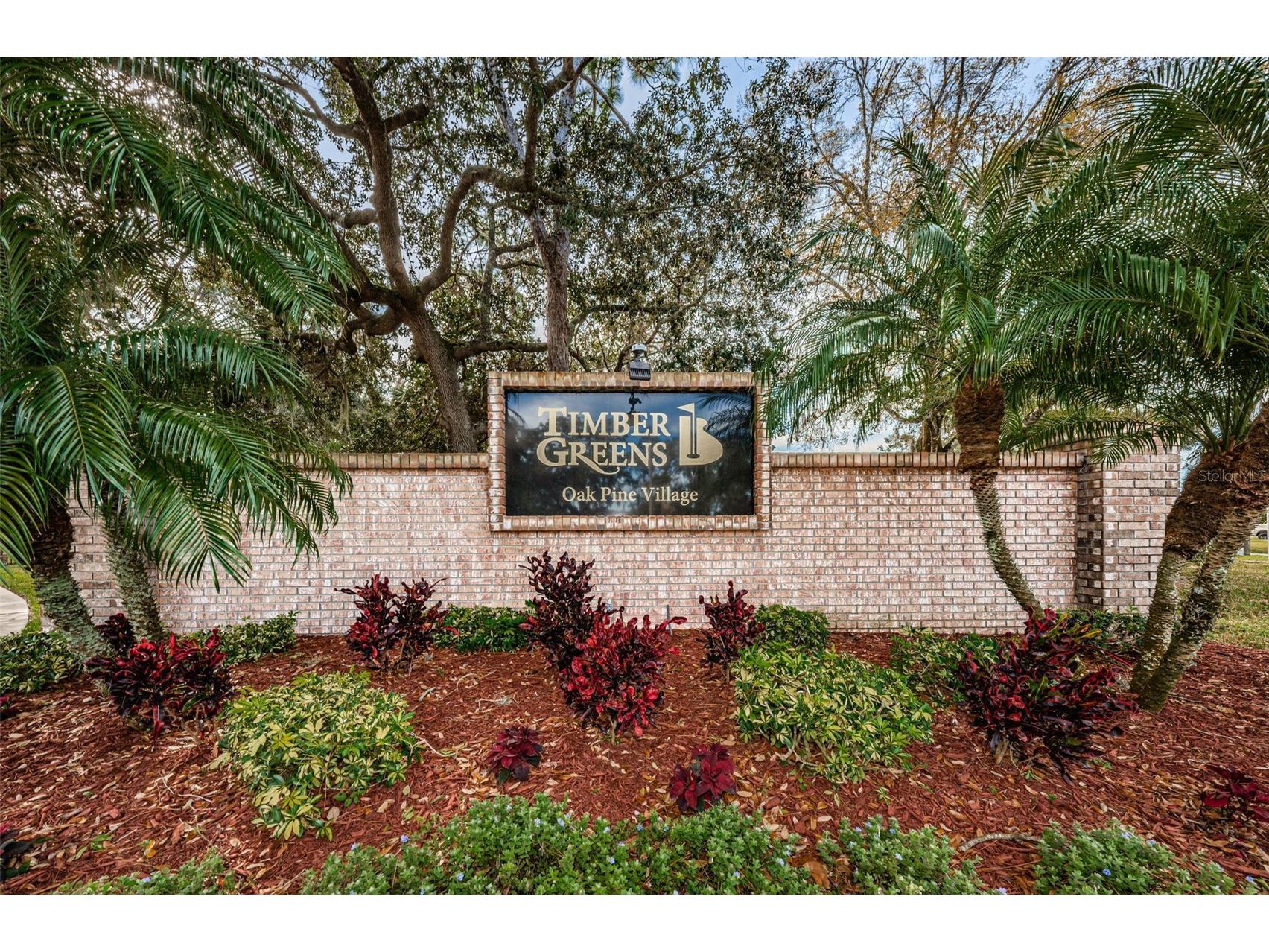 9630 Green Needle Drive New Port Richey FL 34655 W7882126 image53