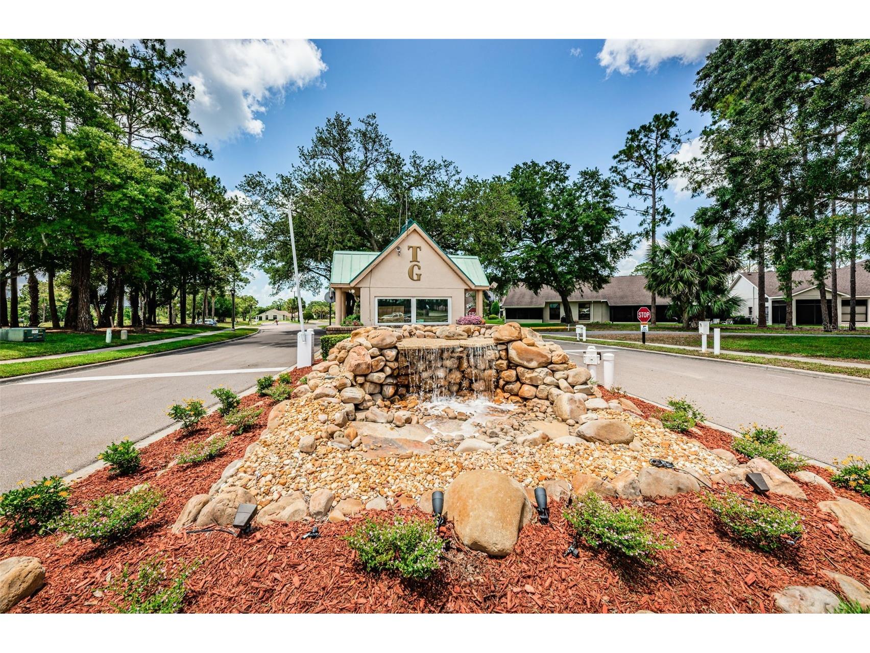 9630 Green Needle Drive New Port Richey FL 34655 W7882126 image56