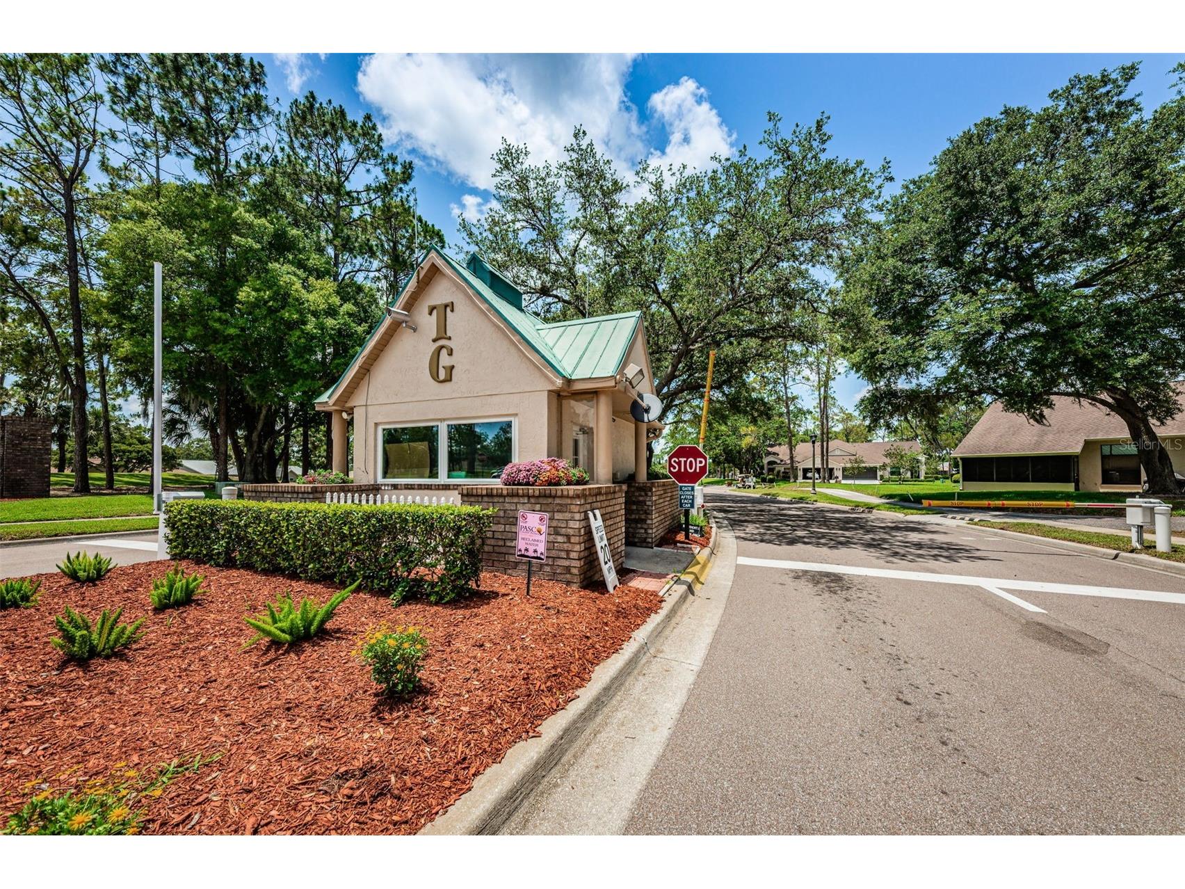 9630 Green Needle Drive New Port Richey FL 34655 W7882126 image57