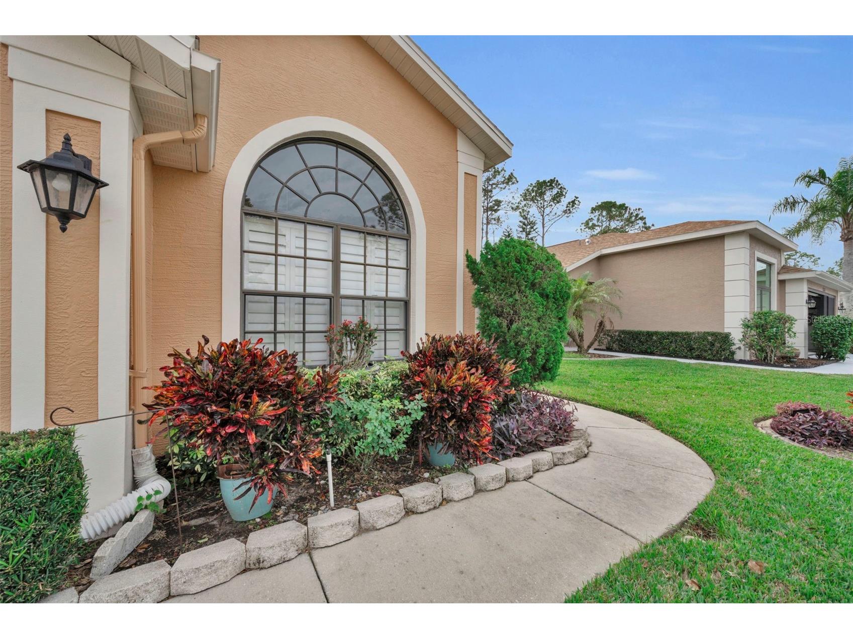 9630 Green Needle Drive New Port Richey FL 34655 W7882126 image6