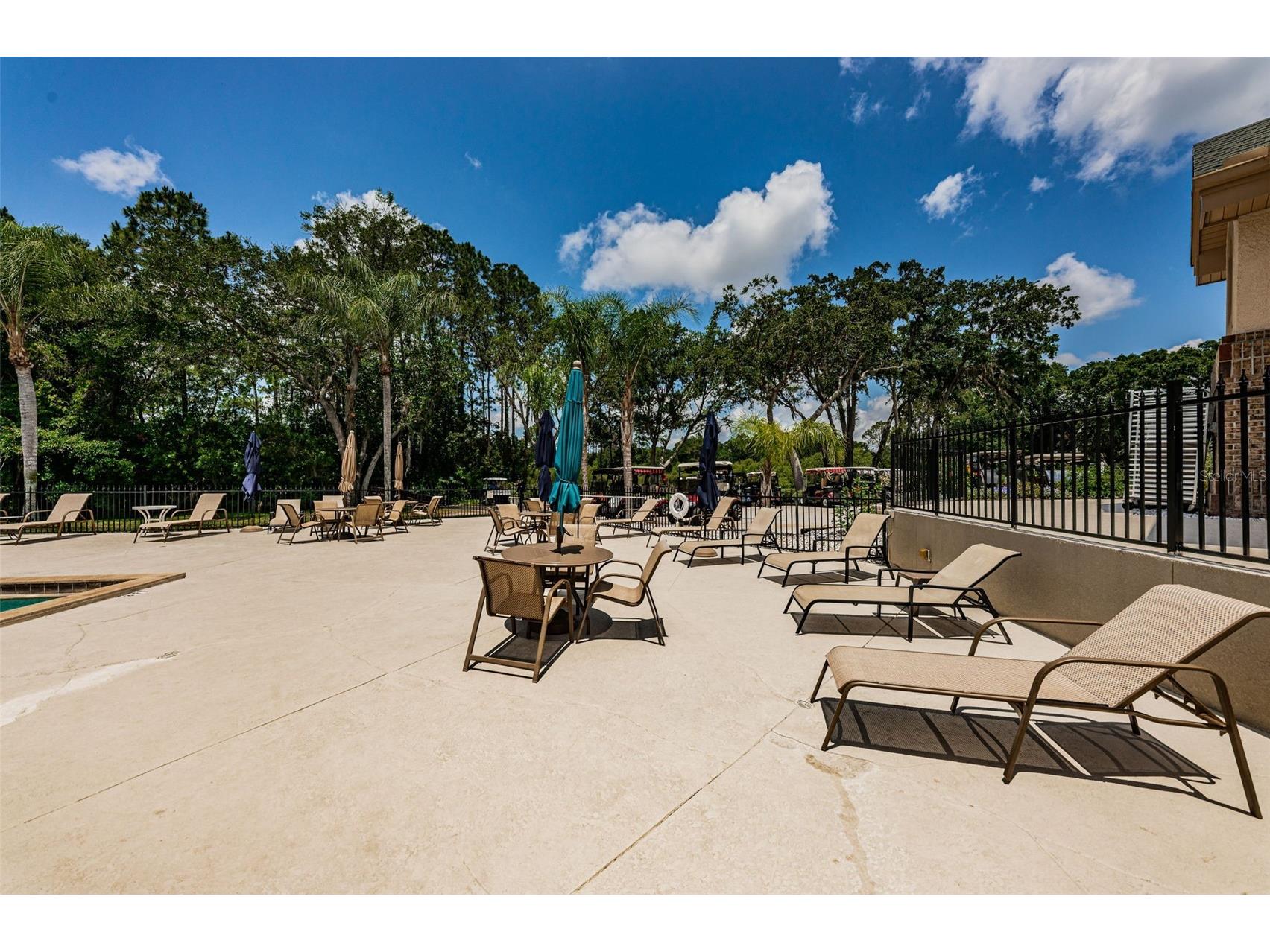 9630 Green Needle Drive New Port Richey FL 34655 W7882126 image68