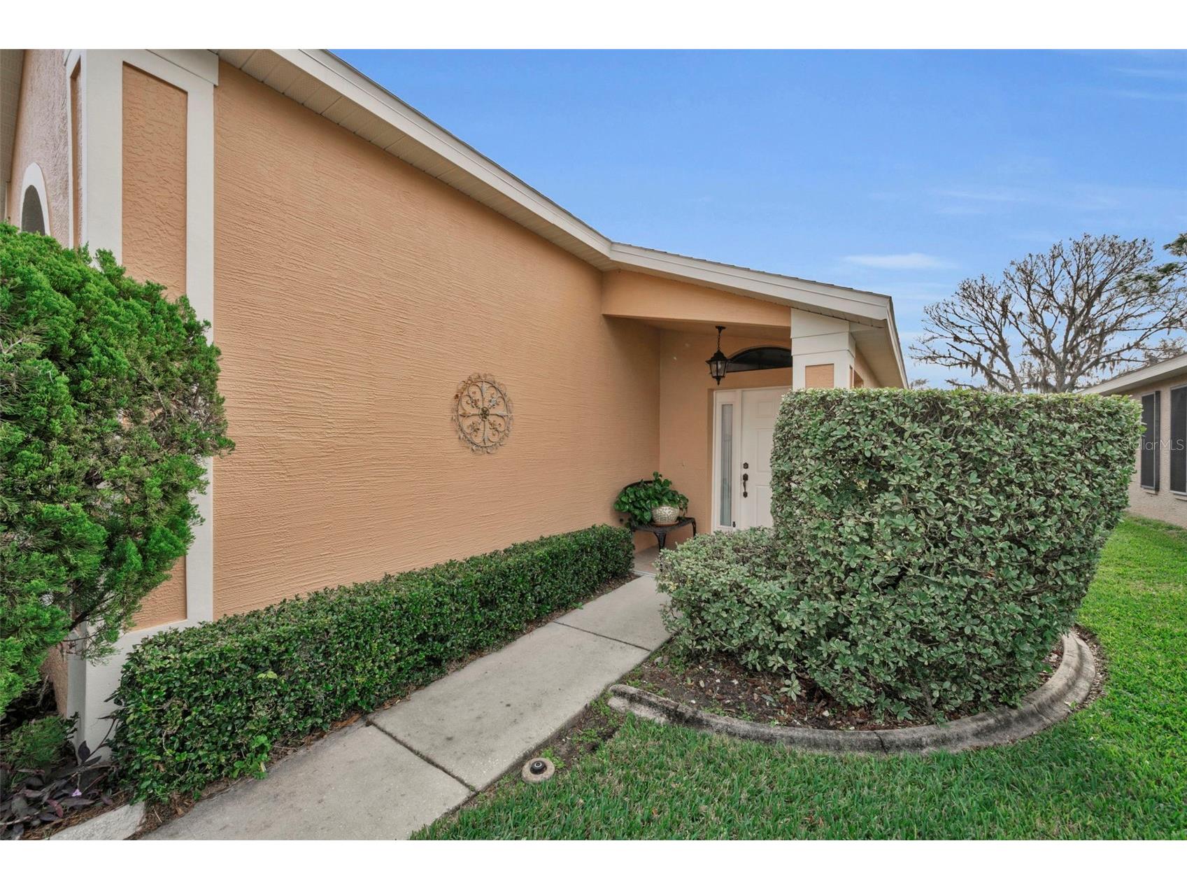 9630 Green Needle Drive New Port Richey FL 34655 W7882126 image8