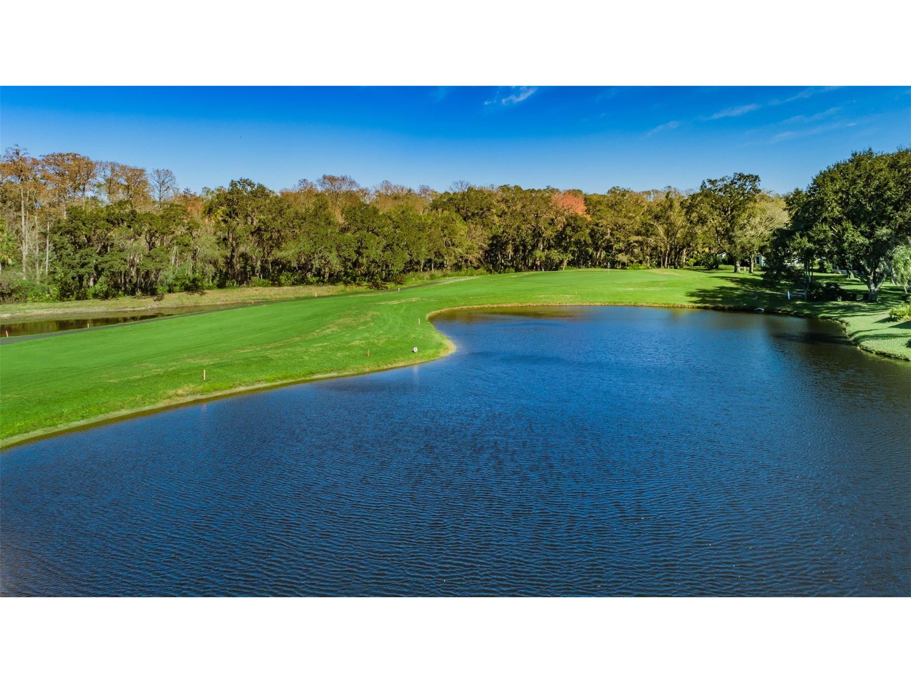 9630 Green Needle Drive New Port Richey FL 34655 W7882126 image80
