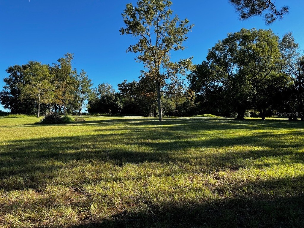 9630 Nelson Road Dade City FL 33525 U8199476 image1