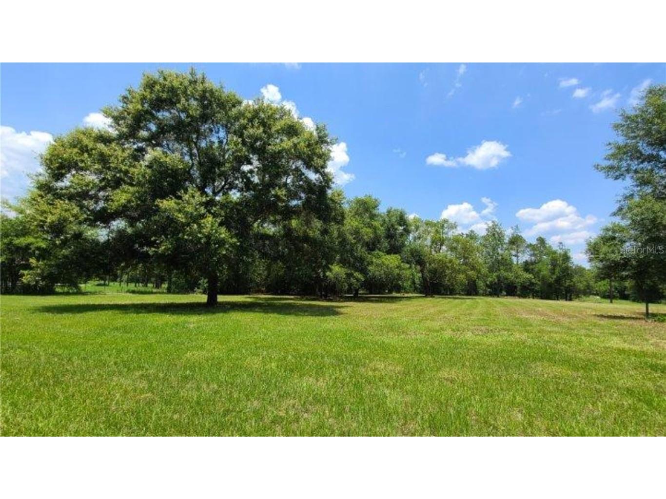 9630 Nelson Road Dade City FL 33525 TB8389064 image1