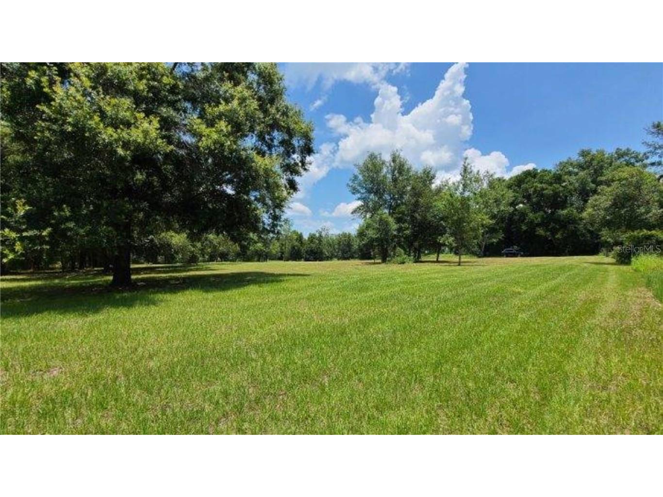 9630 Nelson Road Dade City FL 33525 TB8389064 image10