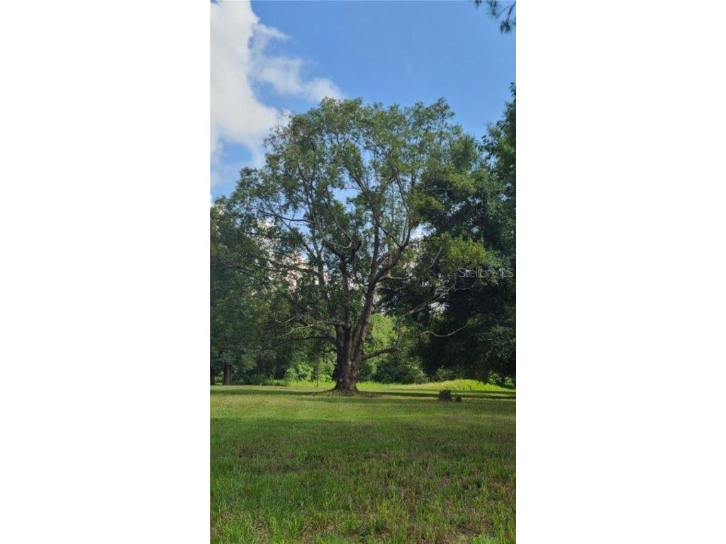 9630 Nelson Road Dade City FL 33525 TB8389064 image12