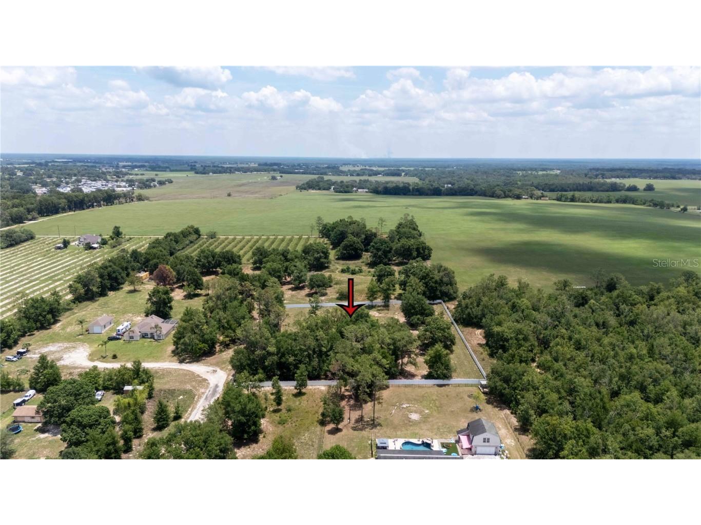 9630 Nelson Road Dade City FL 33525 TB8389064 image2