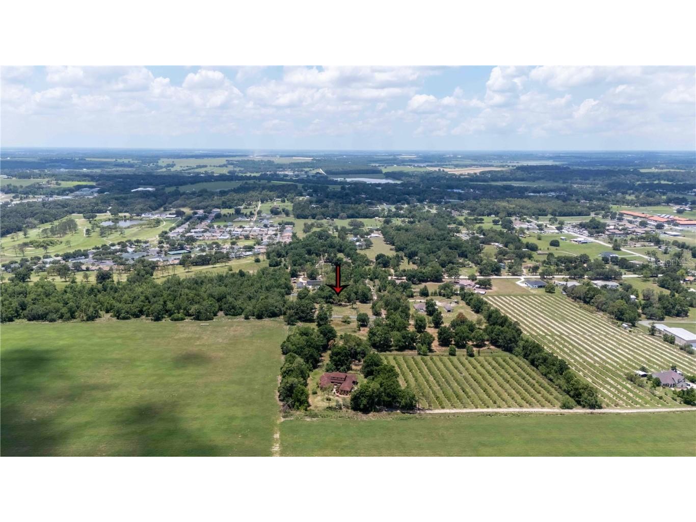 9630 Nelson Road Dade City FL 33525 TB8389064 image3