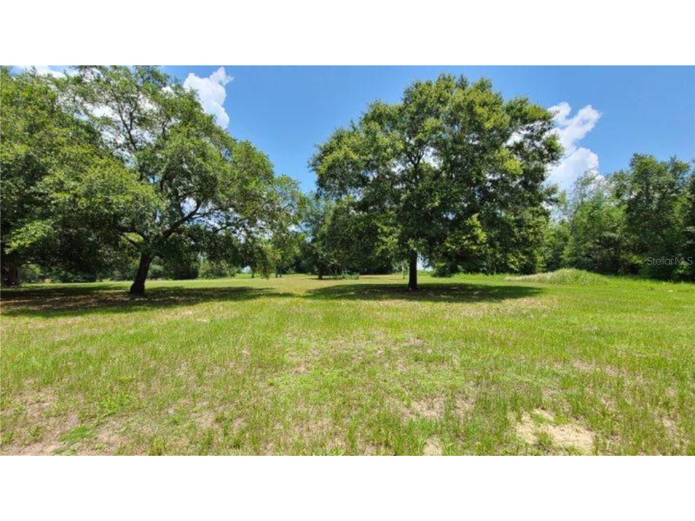 9630 Nelson Road Dade City FL 33525 TB8389064 image8