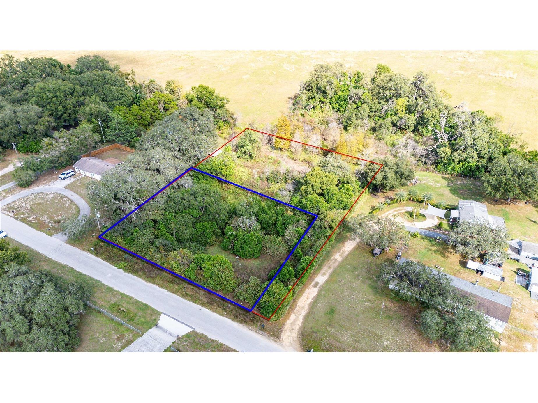 9630 Starline Drive Dade City FL 33525 TB8443800 image1