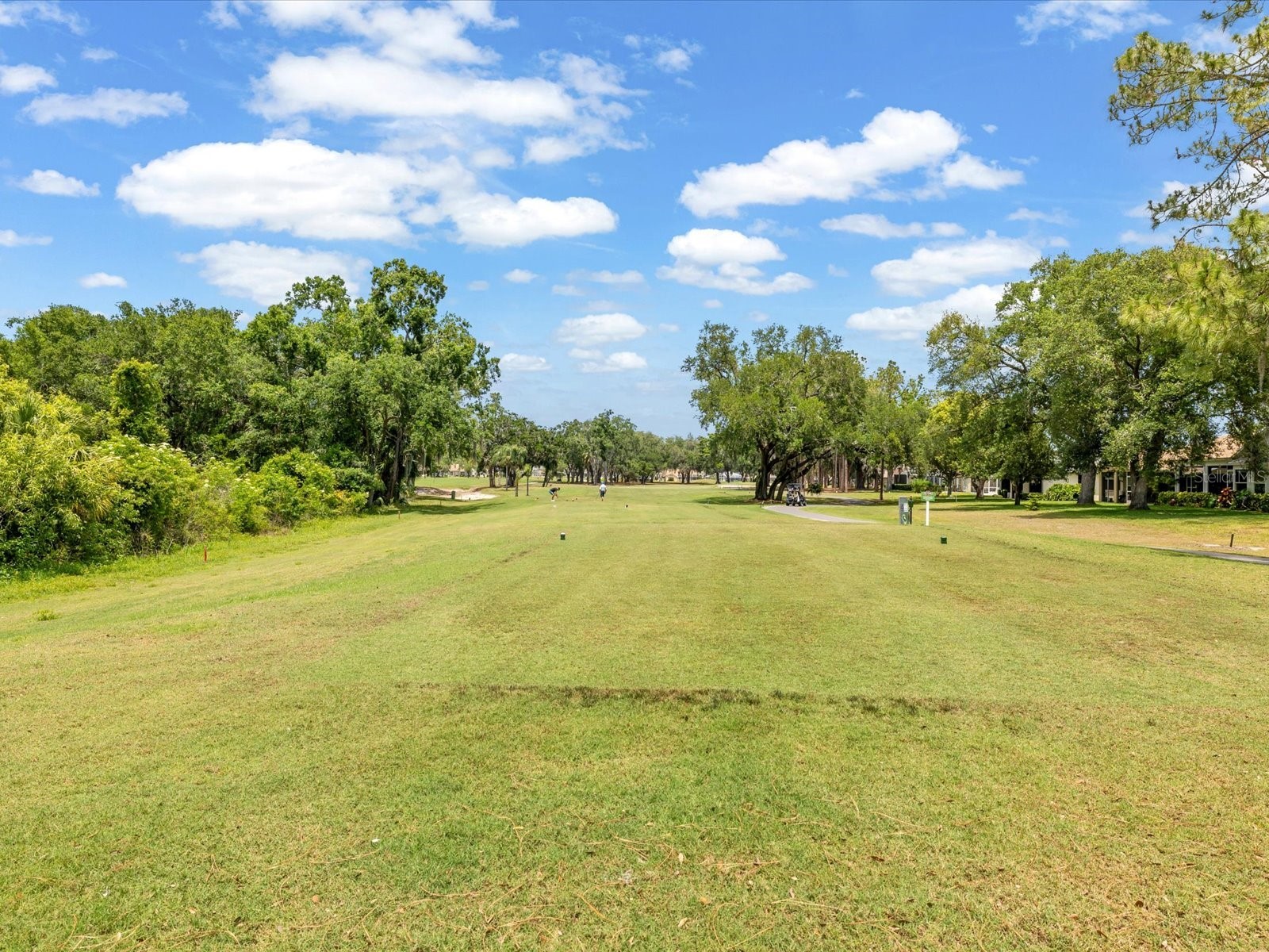 9631 Oakwood Hills Court New Port Richey FL 34655 W7885440 image38