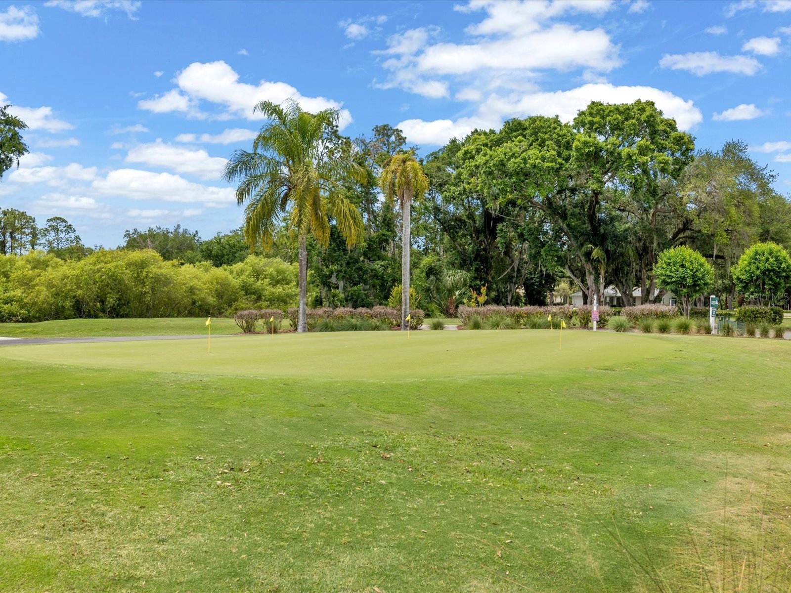9631 Oakwood Hills Court New Port Richey FL 34655 W7885440 image51